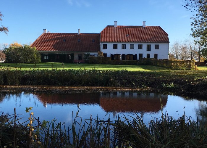 Back of the house and the pond