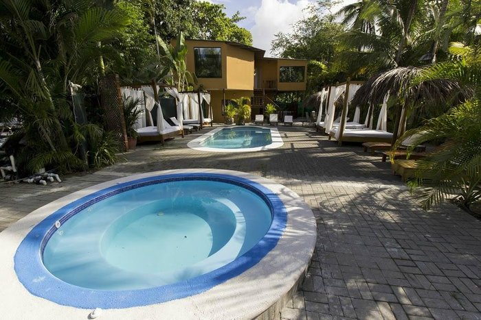 BIRD OF PARADISE HOTEL $113 ($̶1̶1̶9̶) - Updated 2023 Prices & Lodging  Reviews - Costa Rica/Jaco