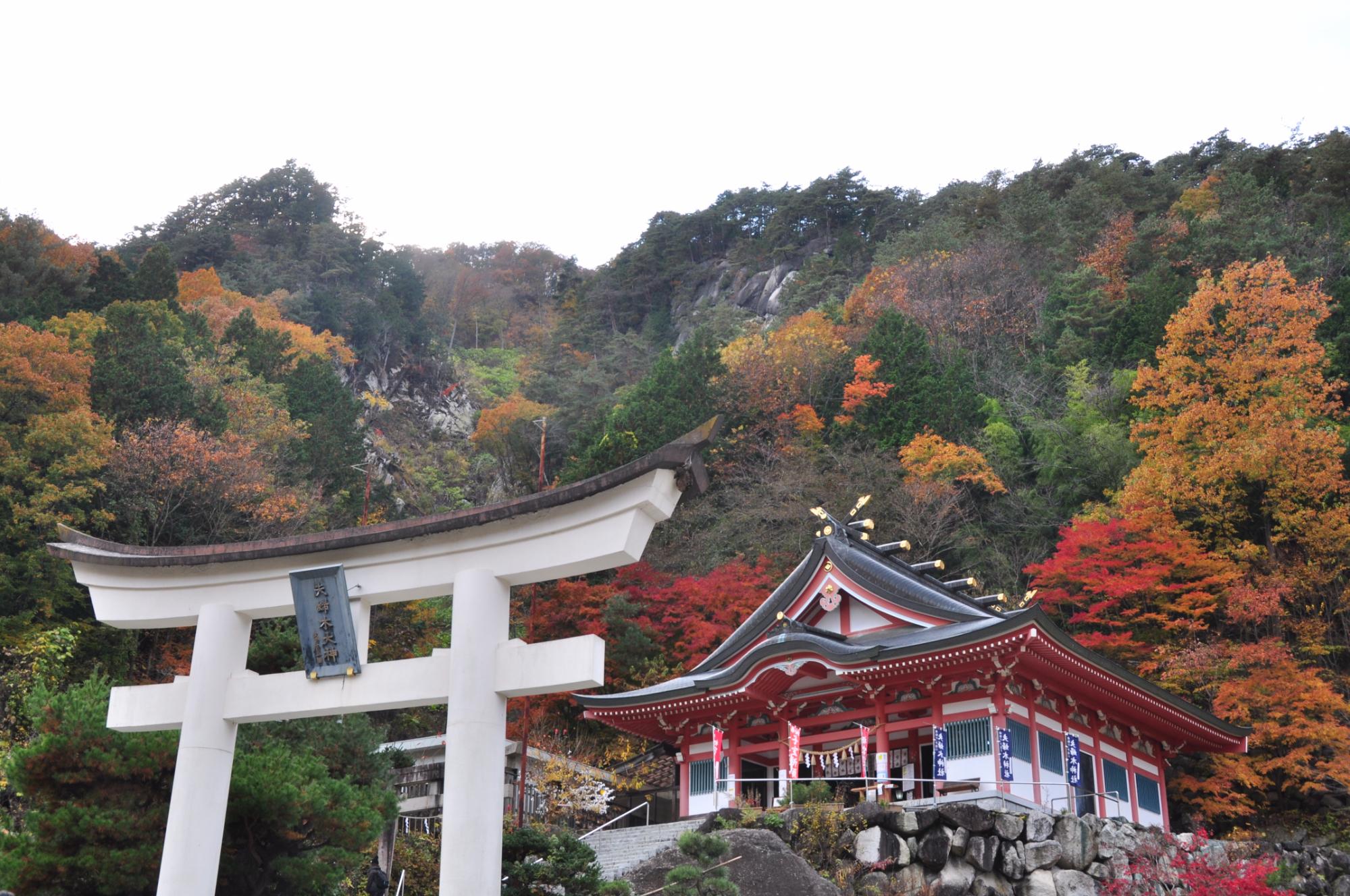 夫婦木神社姫の宮 セール ペット連れ