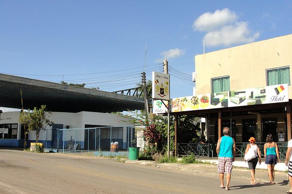 Increible recta entre SAnta Elena de Uairen (VZLA) y Boa Vista (BRA). 250  kms de soledad. - Foto de Manaus, Rio as - Tripadvisor