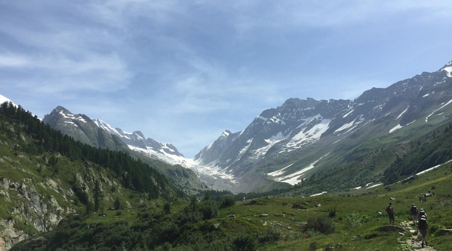 Blick zur Hütte