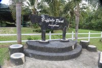 Langkawi buffalo park Langkawi Wildlife