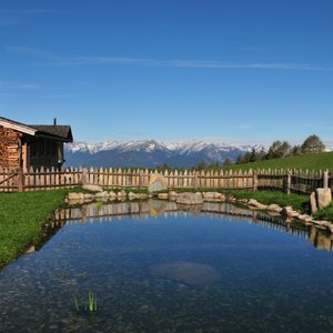 Naturteich - stagno sul rufigio