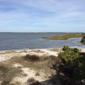 Georgia Sea Turtle Center Hydrapeak 40oz Handle – Jekyll Island