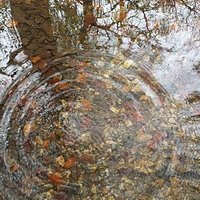 Puddles!