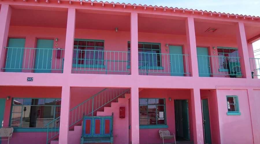 Pink Pelican