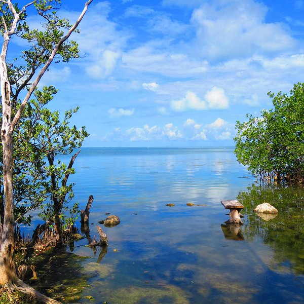 THE 15 BEST Things to Do in Florida Keys 2024 (with Photos) Tripadvisor