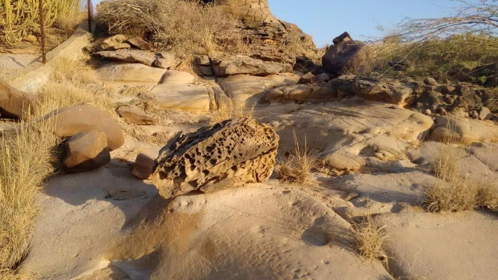 Kutch Fossil Park (Bhuj) - All You Need to Know BEFORE You Go