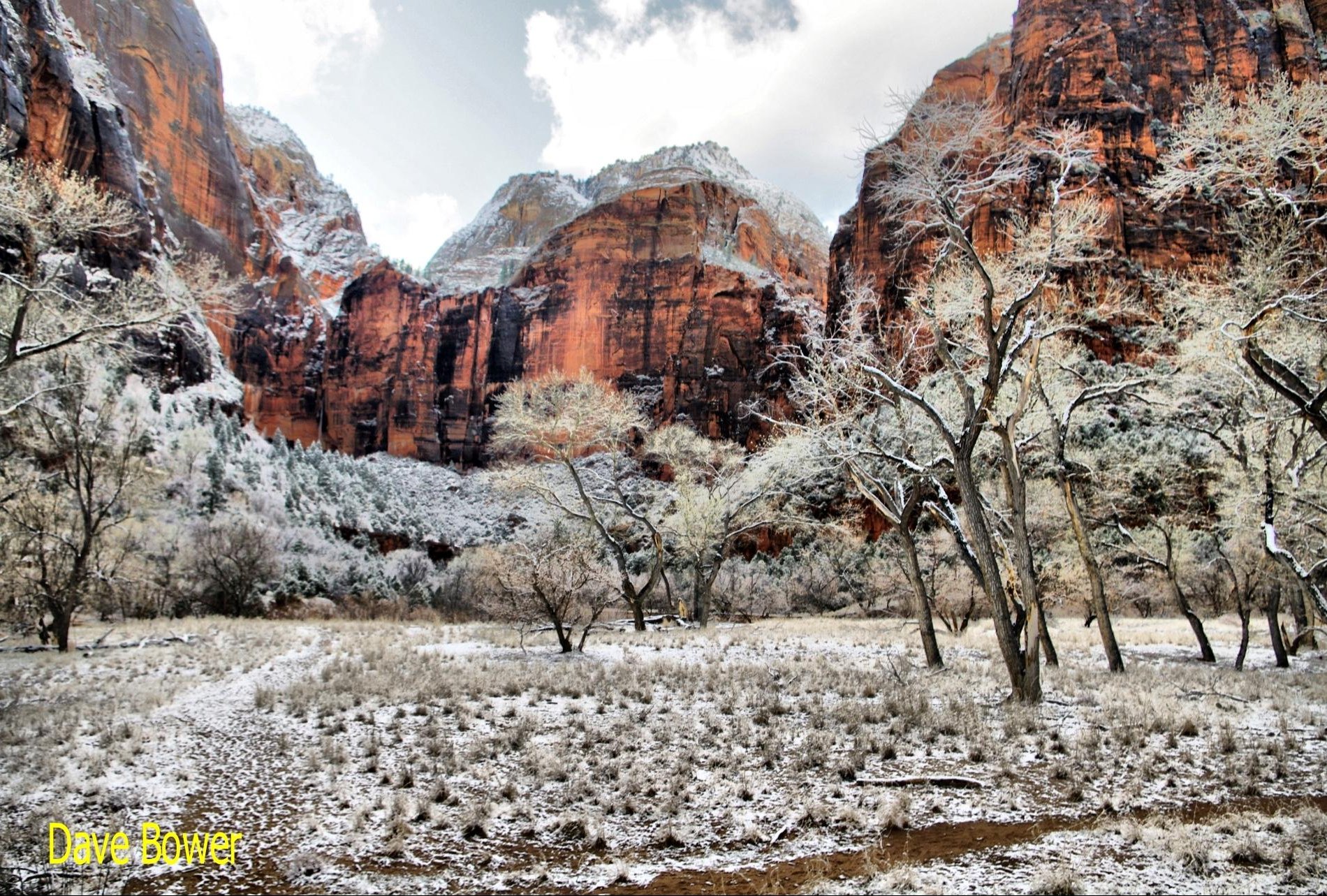Zion NP South Campground by null