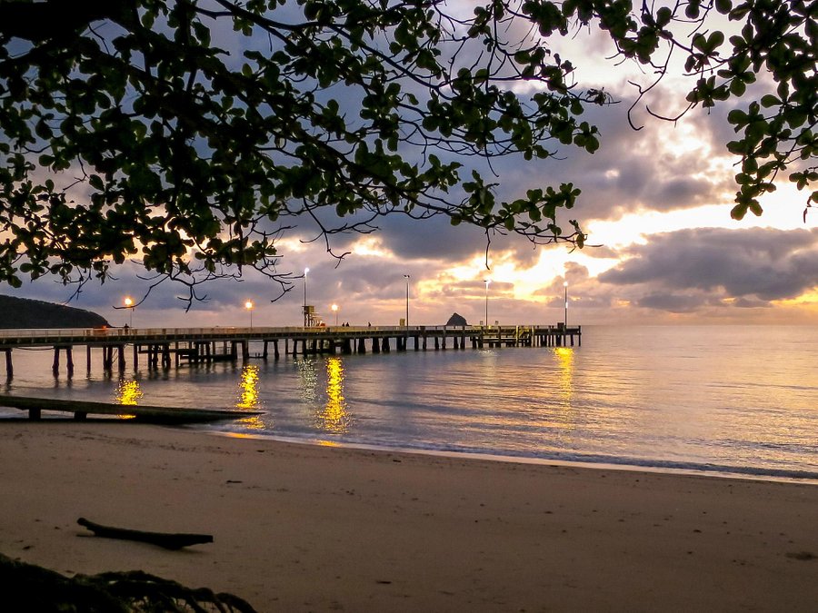 Coffee Haven Palm Cove Cairns Queensland Australia Coffee Shop Australian Restaurant Facebook
