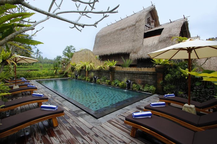 De Klumpu Bali Eco Tradi Stay Pool: Pictures & Reviews - Tripadvisor