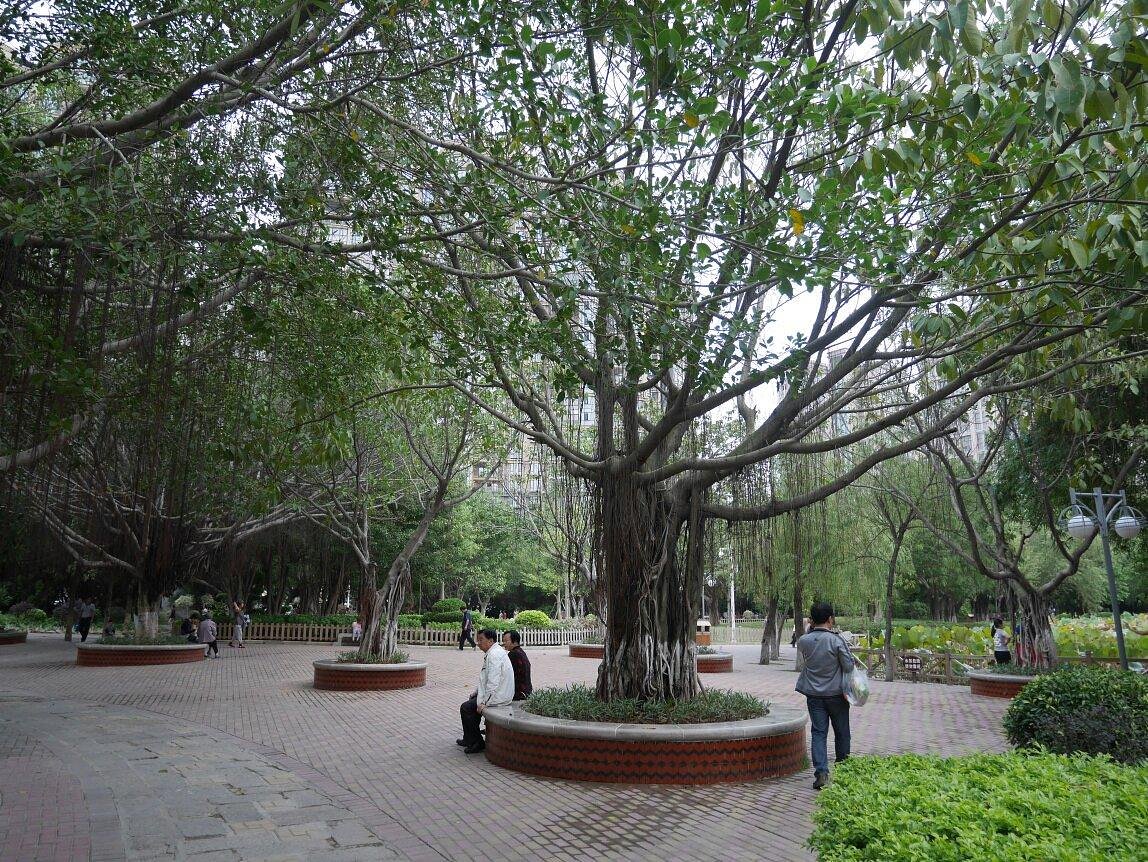 Citong Landscape