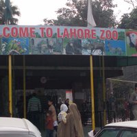 Lahore Zoo Safari - All You Need to Know BEFORE You Go (2024)