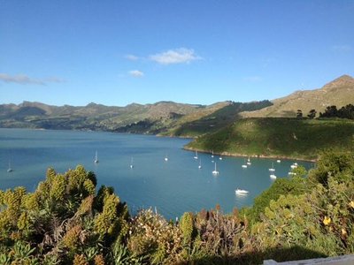 Duvauchelle 2022: Best of Duvauchelle, New Zealand Tourism - Tripadvisor