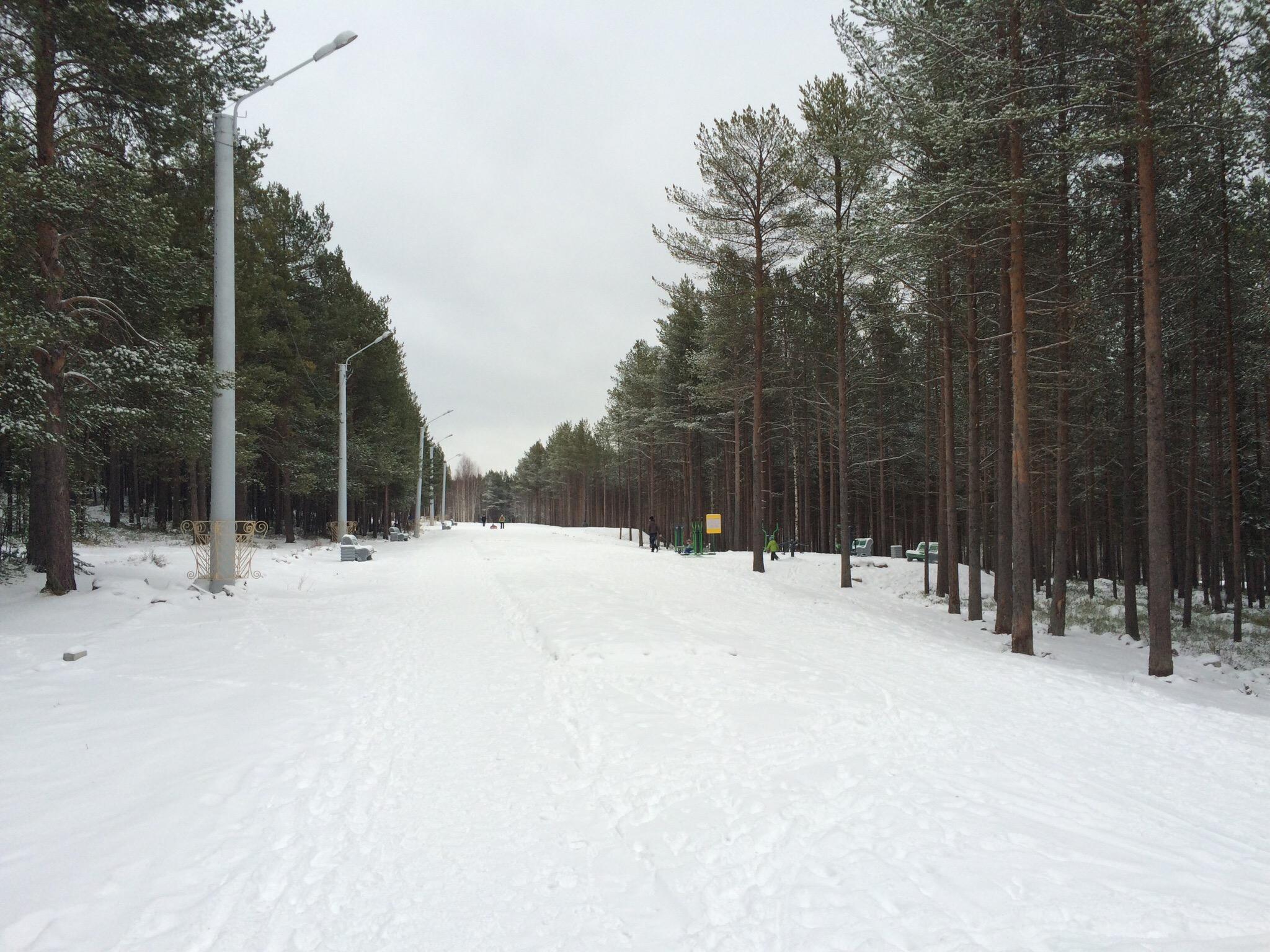 Займ в полярных зорях