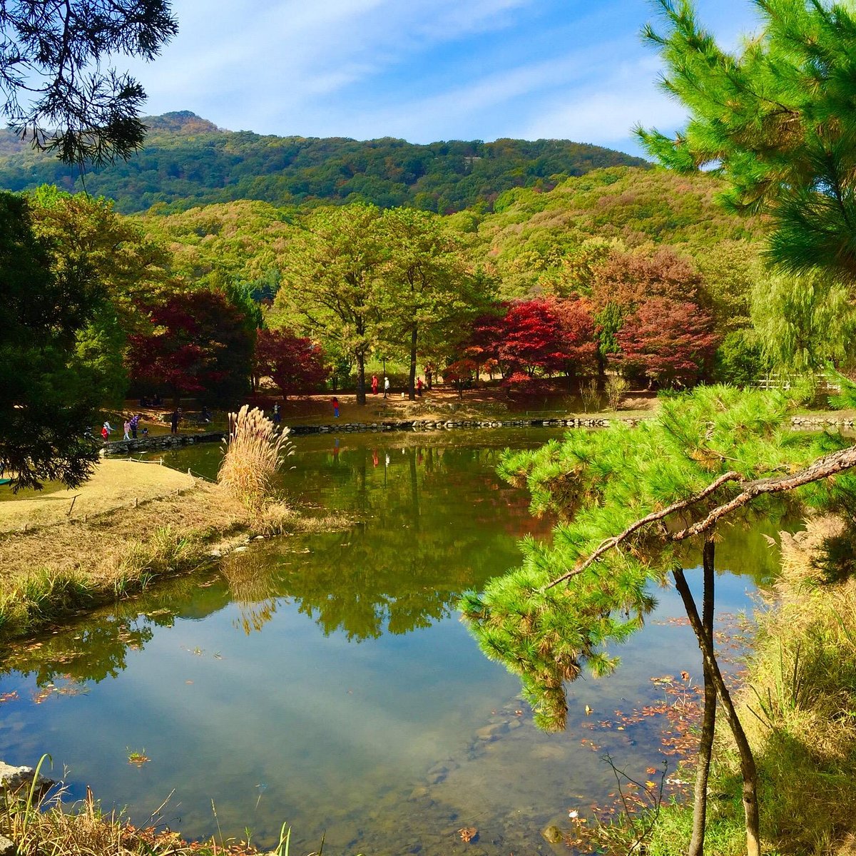 Pocheon south korea. Pocheon Корея. Pocheon.