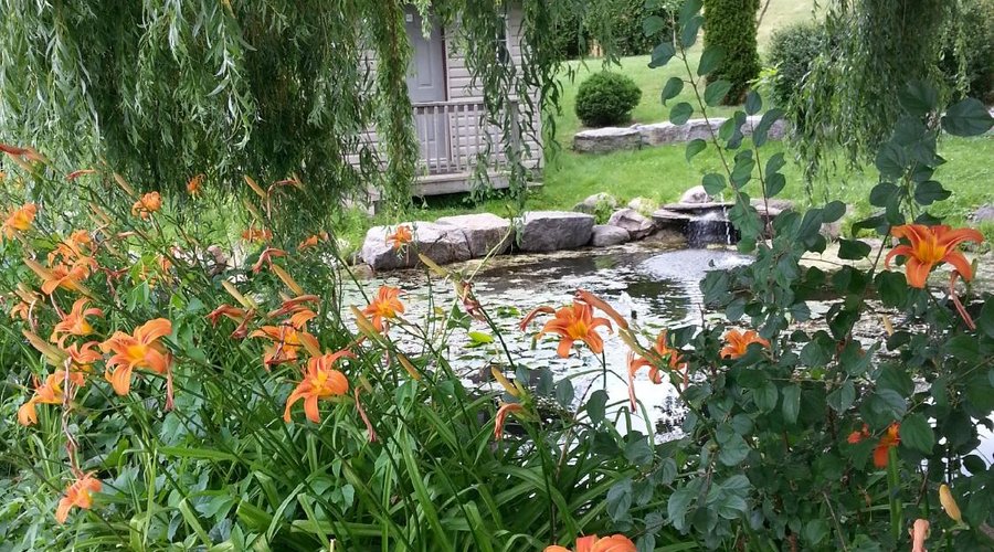 By the pond