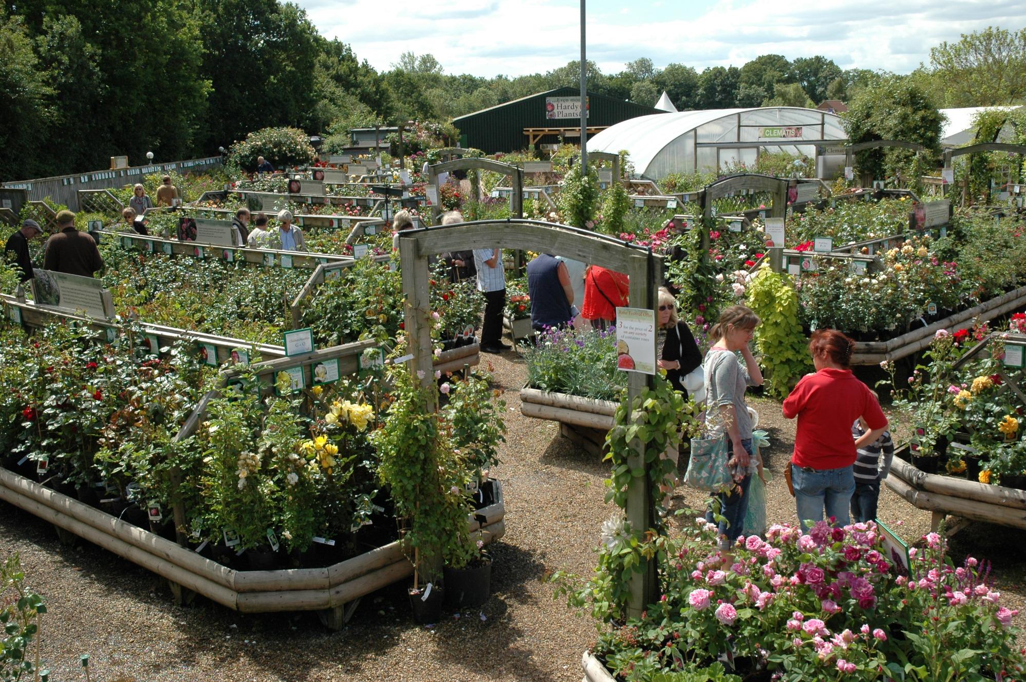 SNETTERTON MARKET All You Need to Know BEFORE You Go with Photos