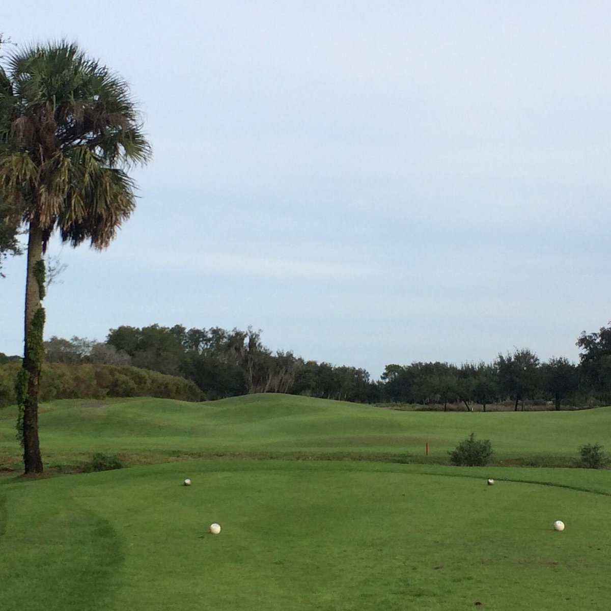 PANTHER LAKE GOLF COURSE (Winter Garden) 2022 Qué saber antes de ir