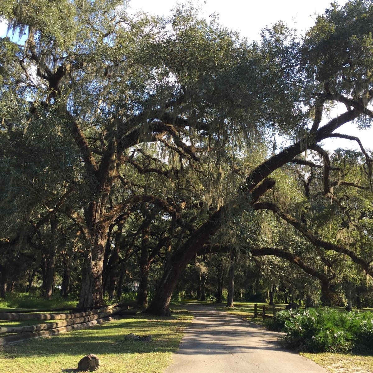 Dade Battlefield Historic State Park, Bushnell