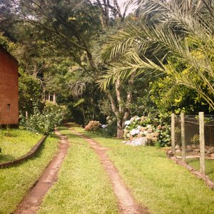 Casa da Flor da Macela em Cunha/SP