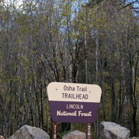 Osha Trail - All You Need to Know BEFORE You Go (2024)