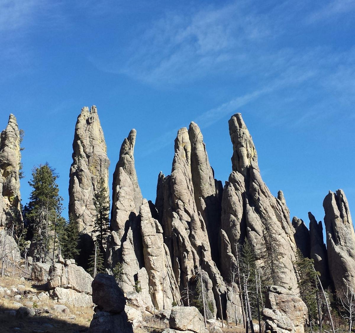5 Beautiful Trails in Custer State Park