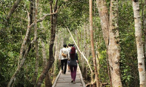 On our way to the last feeding spot of Orangutan