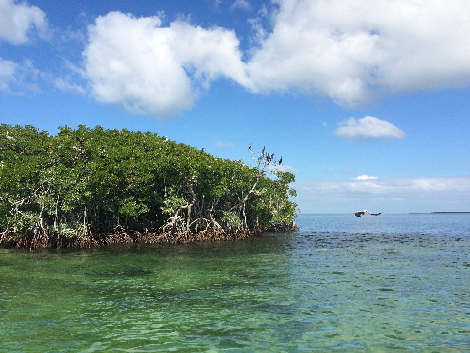 Keys Boat Tours - Big Pine Key - Keys Boat Tours의 리뷰 - 트립어드바이저
