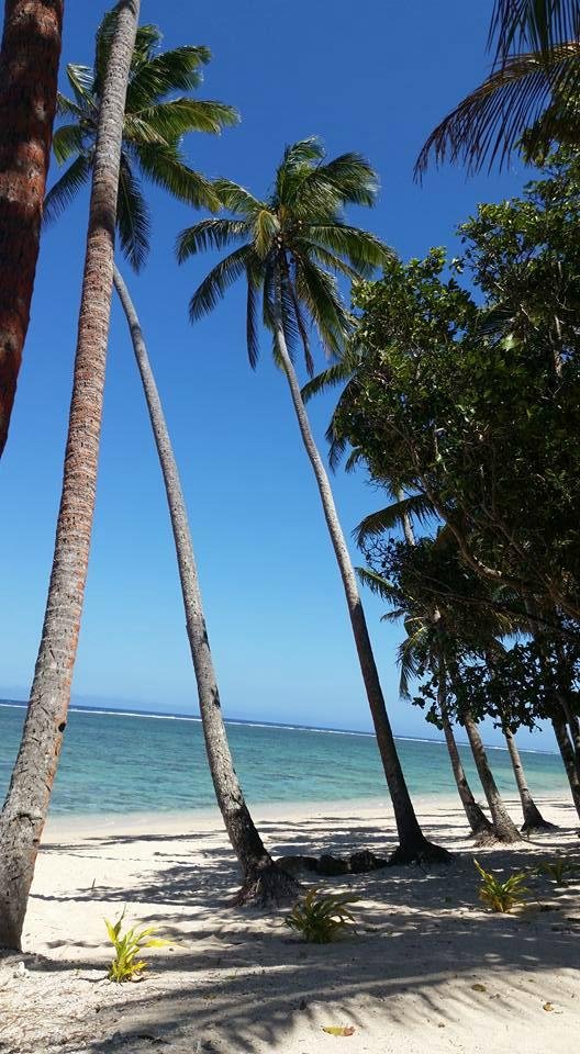 Tambua Sands Beach Resort Snorkelling: Pictures & Reviews - Tripadvisor