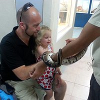 Petting a snake at the reptiles building