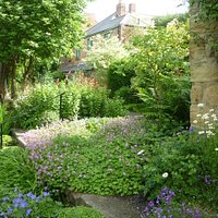 A peaceful haven