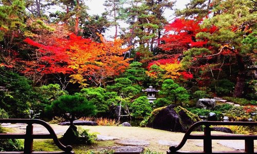 11月中旬に行きました！
とても綺麗で感動しました！

是非新潟県に来た際は行くことをお勧めします！

春夏秋冬四季折々楽しめるとても素敵なところです