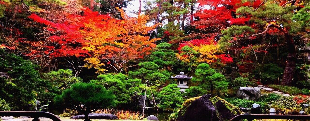 11月中旬に行きました！
とても綺麗で感動しました！

是非新潟県に来た際は行くことをお勧めします！

春夏秋冬四季折々楽しめるとても素敵なところです