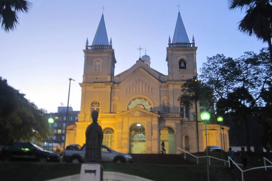 Catedral Metropolitana de Juiz de Fora image