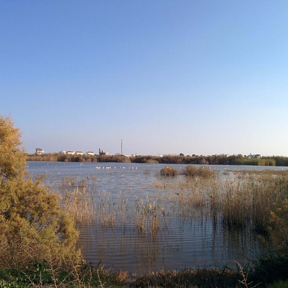 Oroklini Lake Aktuelle 2022 Lohnt es sich? (Mit fotos)