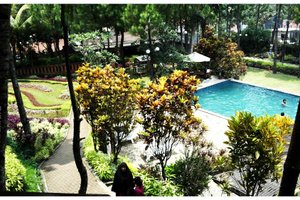 Wisatawan