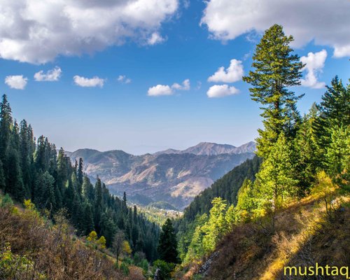 nathia gali picnic points