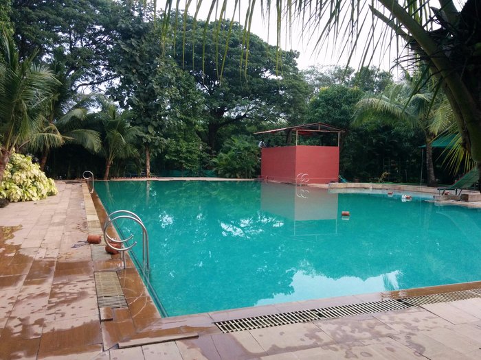 Srushti Farms Resort Pool: Pictures & Reviews - Tripadvisor