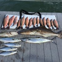 Unreel Fishing Charters - All You Need To Know Before You Go (2024)