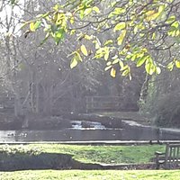 Bradbourne Lake Park