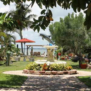dolphin inn fountain
