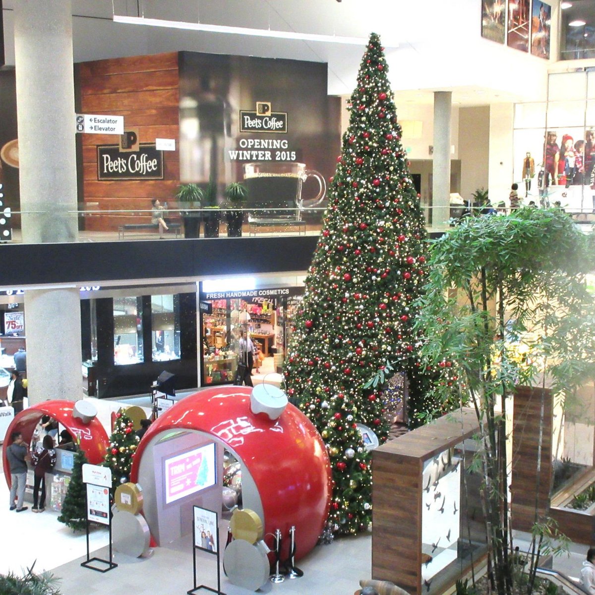 Westfield Santa Anita Shopping Center, Аркадия: лучшие советы перед  посещением - Tripadvisor