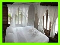 Jungle kohkood resort room