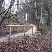 The road to the castle is a long staircase