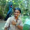 Terrace Bali Tour