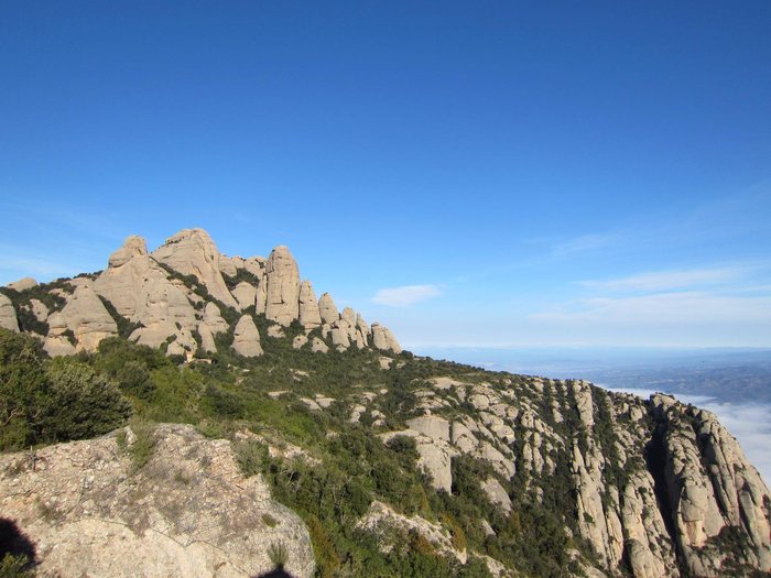 Imagen 1 de Escolania de Montserrat