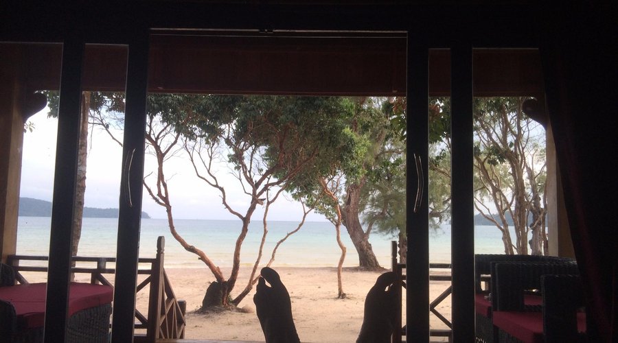 Incredible views from the room