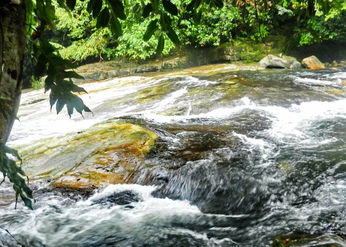 Hala-Bala Wildlife Sanctuary. Водопад.