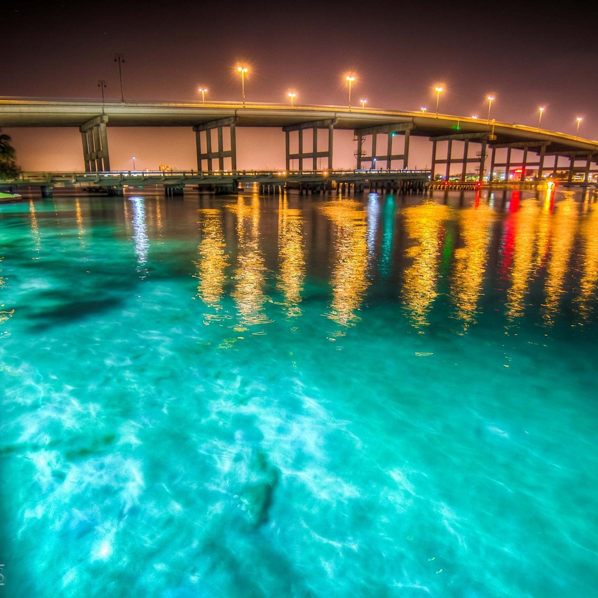 A New Scuba Diver's Guide to Diving the Blue Heron Bridge